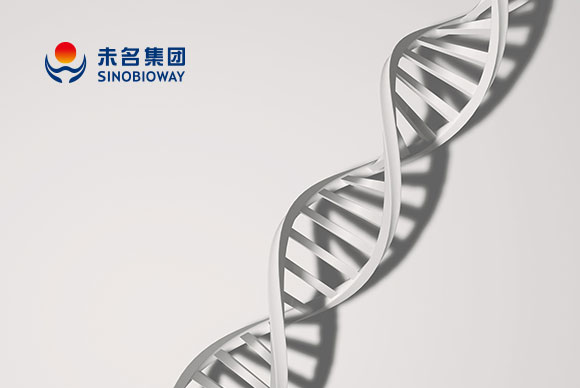 北大未名集团网站建设案例欣赏