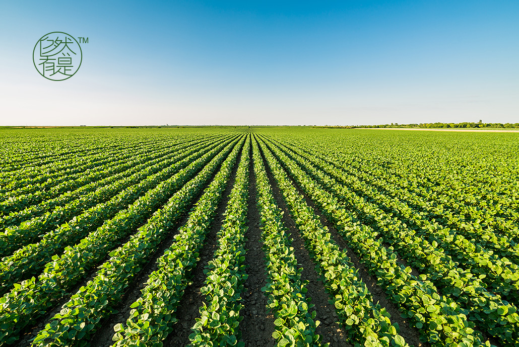 北京多维网讯科技有限公司